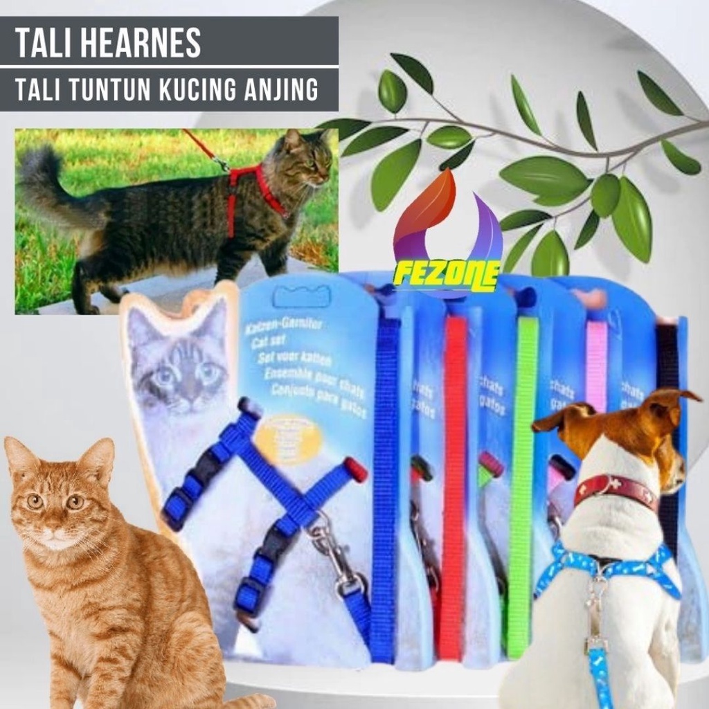 TALI TUNTUN KUCING ANJING MURAH TALI TUNTUN MURAH CAT DOG LEASH FEZONE