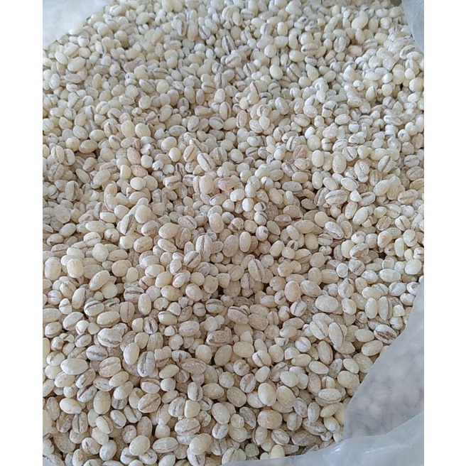 

Barley / jelai / Biji Jali - Jali / Hanjeli 100g Import Original