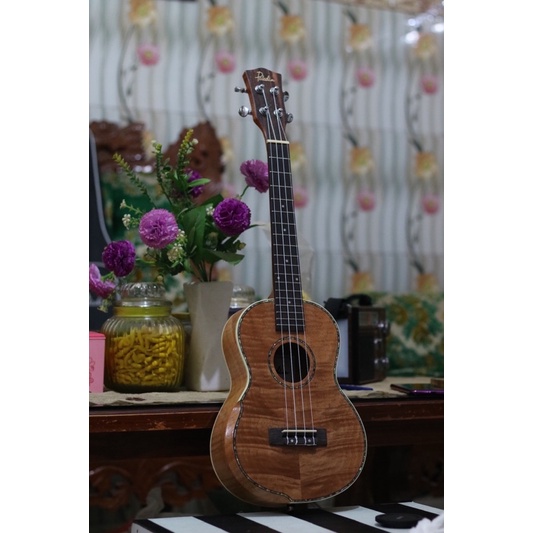 ukulele / kentrung paladin original second