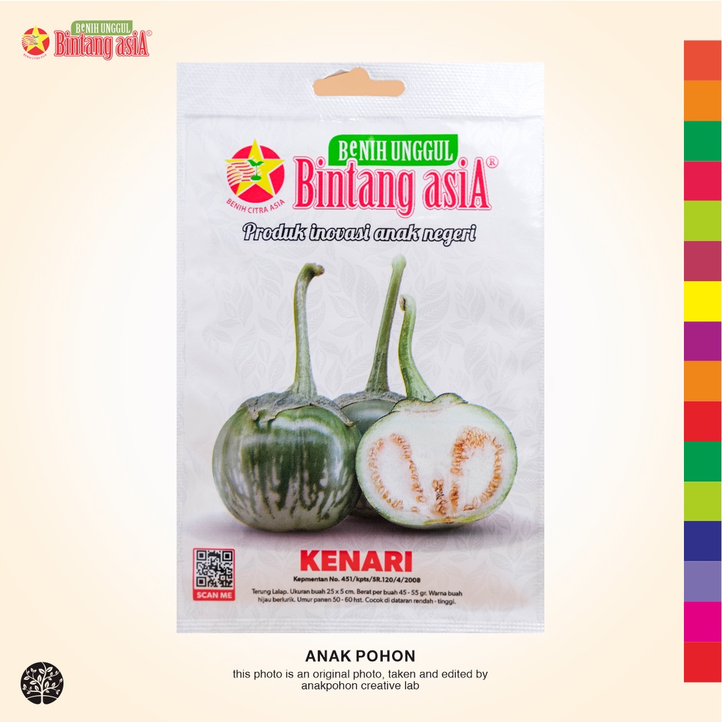 (1 PACK) Benih Terong Lalab Bulat Hijau KENARI Lalapan Seeds - BINTANG ASIA - 4 GRAM