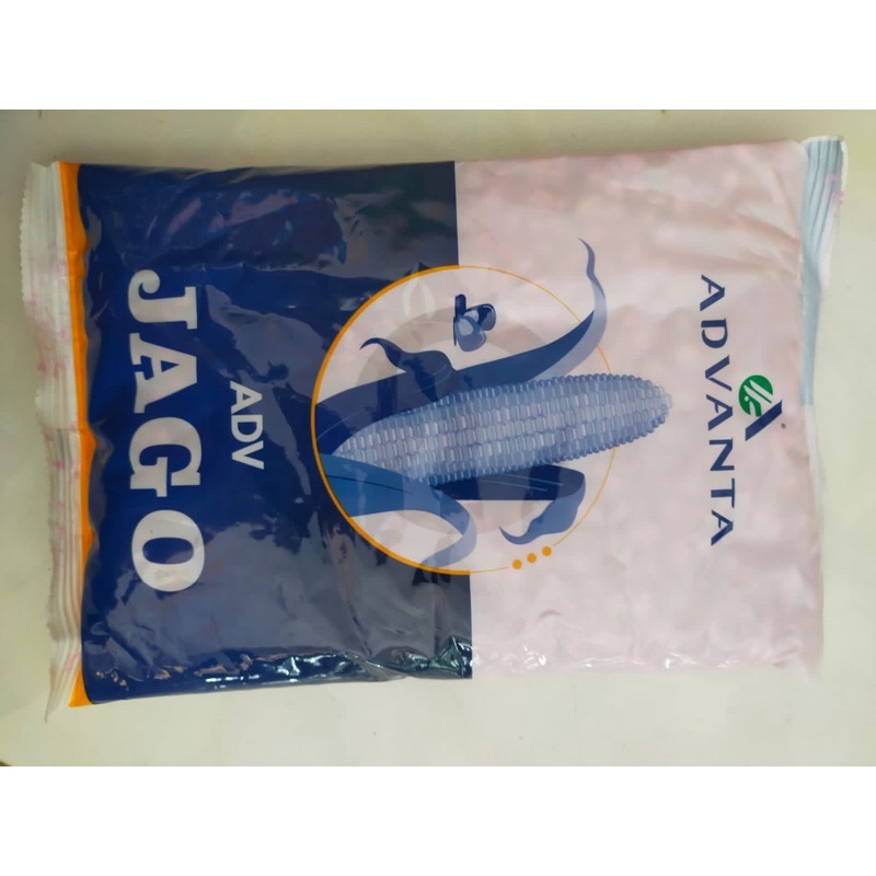 BENIH JAGUNG HIBRIDA PAC 789 RAKSASA 1KG DIGANTI PAC 789 ADV JAGO