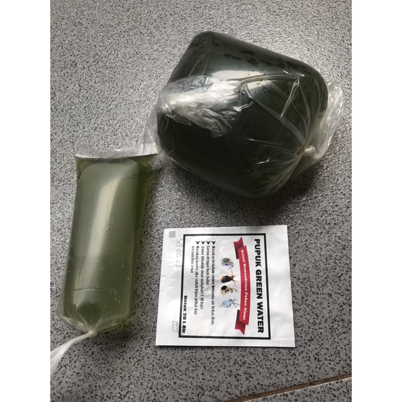 paket kultur kutir kutu air moina sp