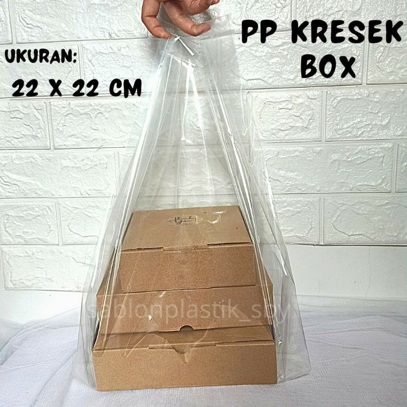 PP KRESEK BOX  22x22 cm
