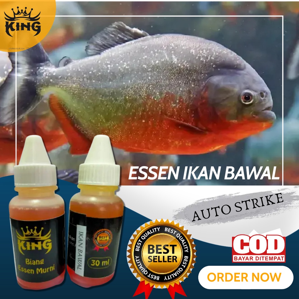 Essen JITU Ikan Bawal Galatama-Umpan Pancing King Esen Premium Terlaris 30ml