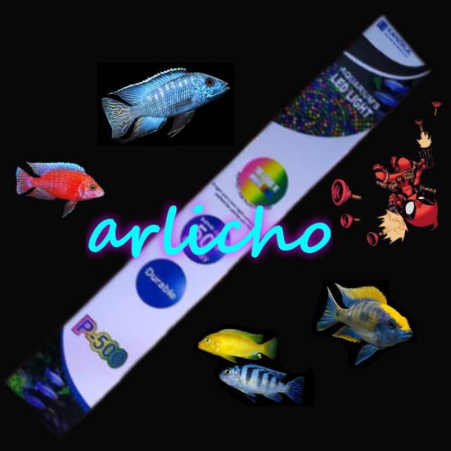 Lampu LED Aquarium 50-60 Cm Kandila P-500