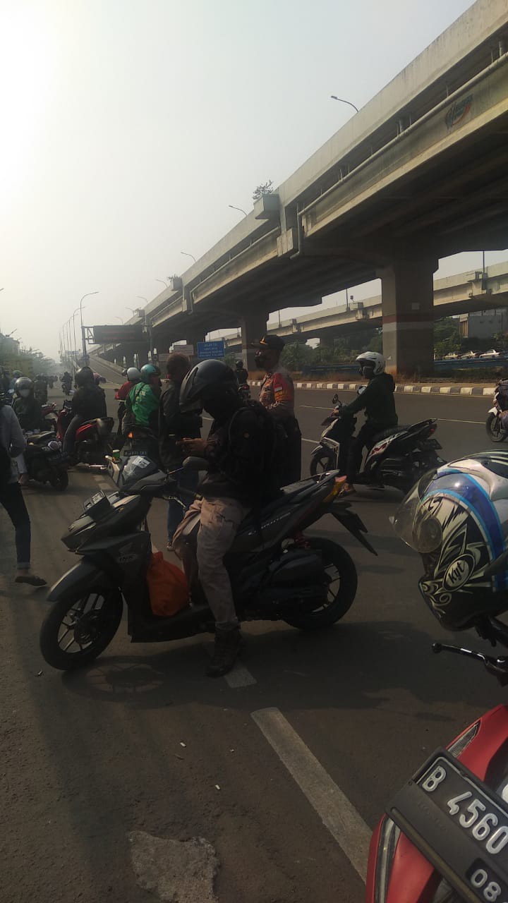 Kemeja Pria Lengan Pendek Greenlight Super Premium Standar Distro