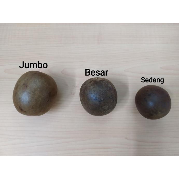 

TREND LOHANKUO UKURAN SEDANG () UNTUK PANAS DALAM TERBAIK