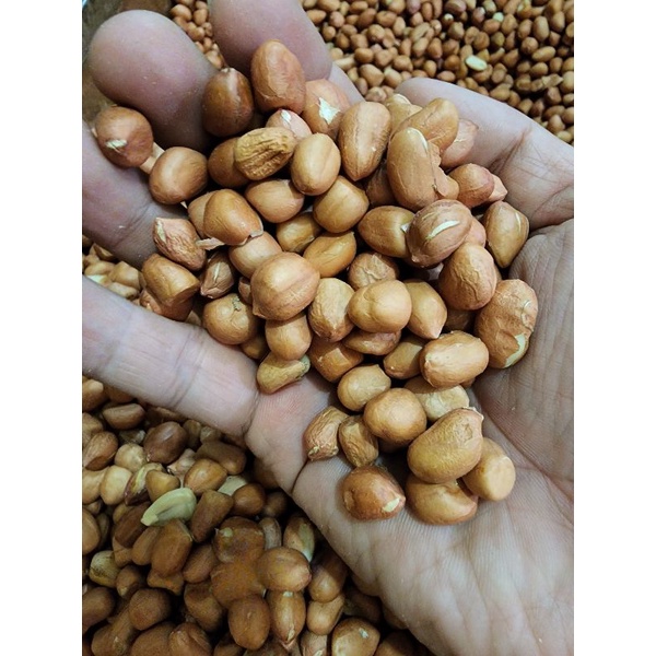 Kacang tanah import india 500gr kwalitas bagus