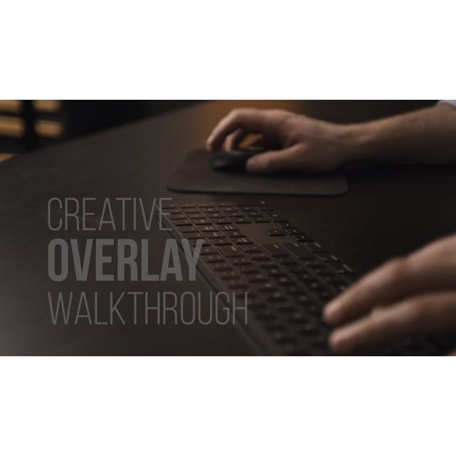 PROEDU Master Collection - 200 Cinematic Portrait Overlays