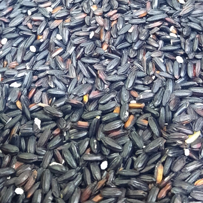 

KETAN-BERAS- BERAS KETAN HITAM SUPER ASLI 1KG -BERAS-KETAN.