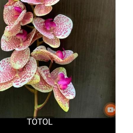 ۝ ANGGREK LATEX SUPER PREMIUM ✯