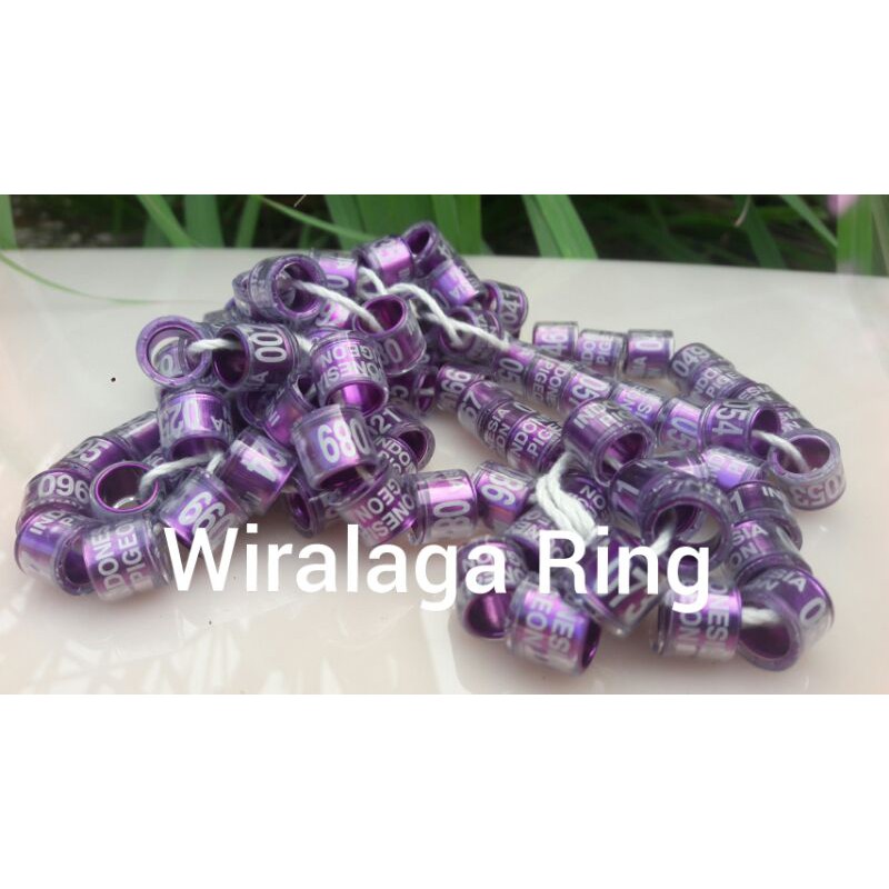 RING IMPORT MERPATI .