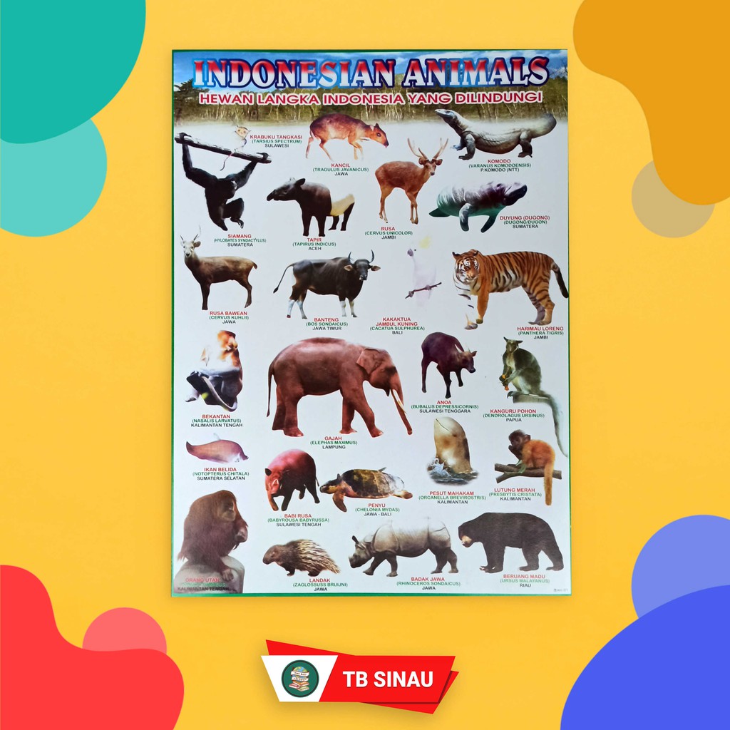 Poster Edukasi Anak Mengenal Hewan Langka Indonesia Yang Dilindungi Shopee Indonesia