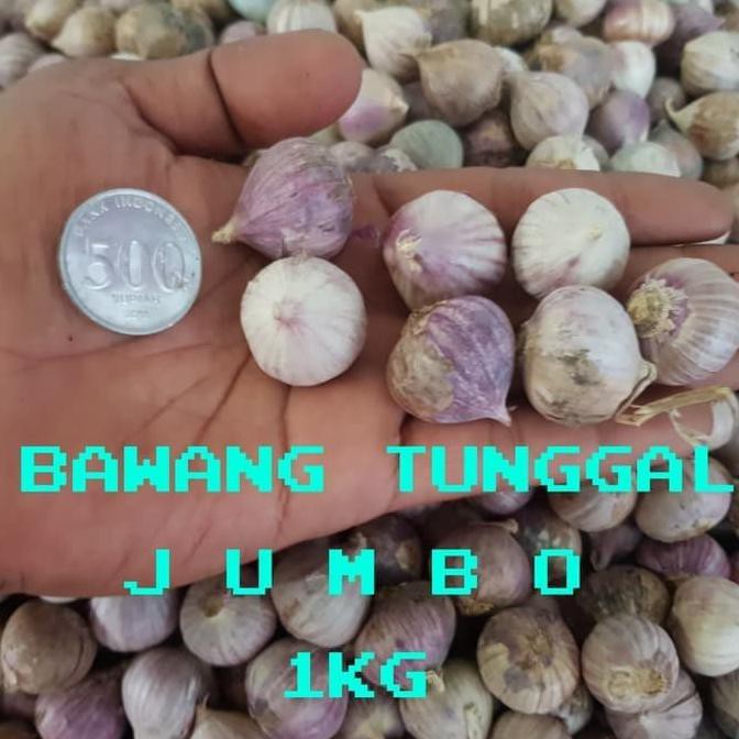 

Bawang Putih Tunggal / Bawang Lanang 1000 gram Kode 664
