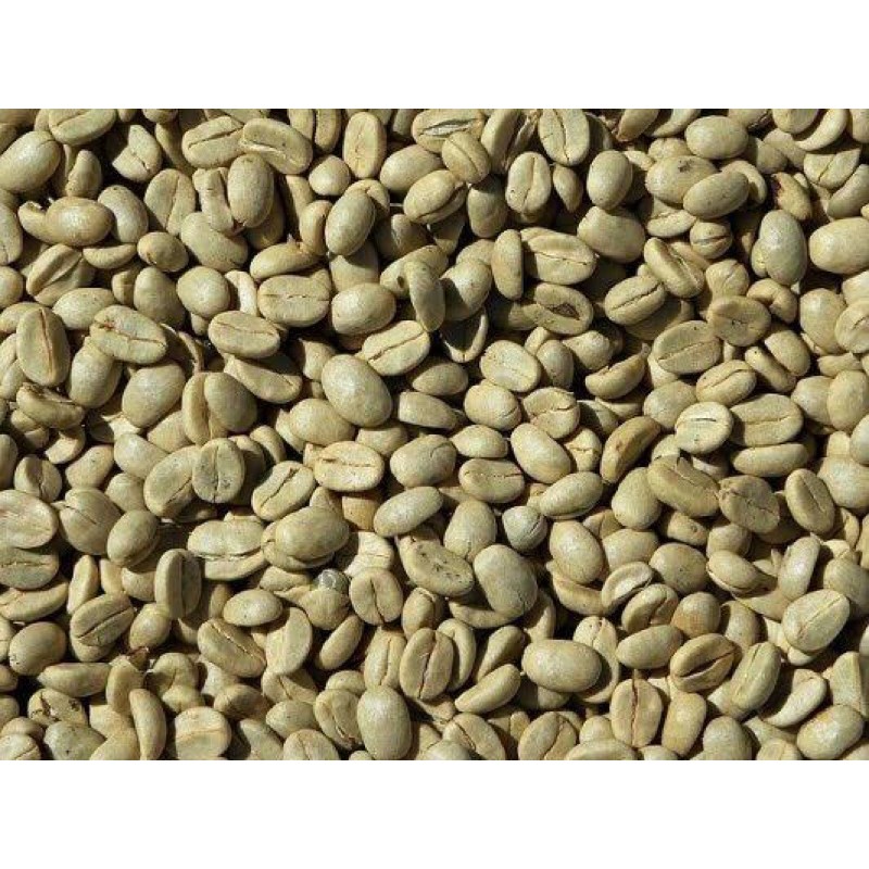 

KOPI ARABICA GAYO