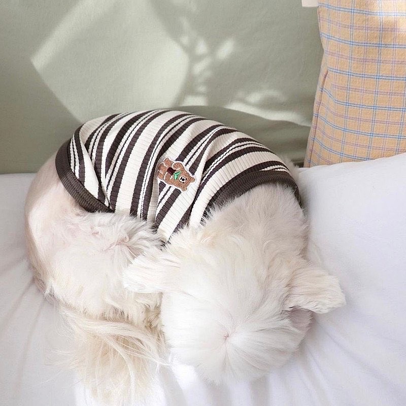 BEBOO Bear Korea Stripe Tee