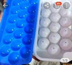 Cetakan Puding Telur Puyuh Per Pic