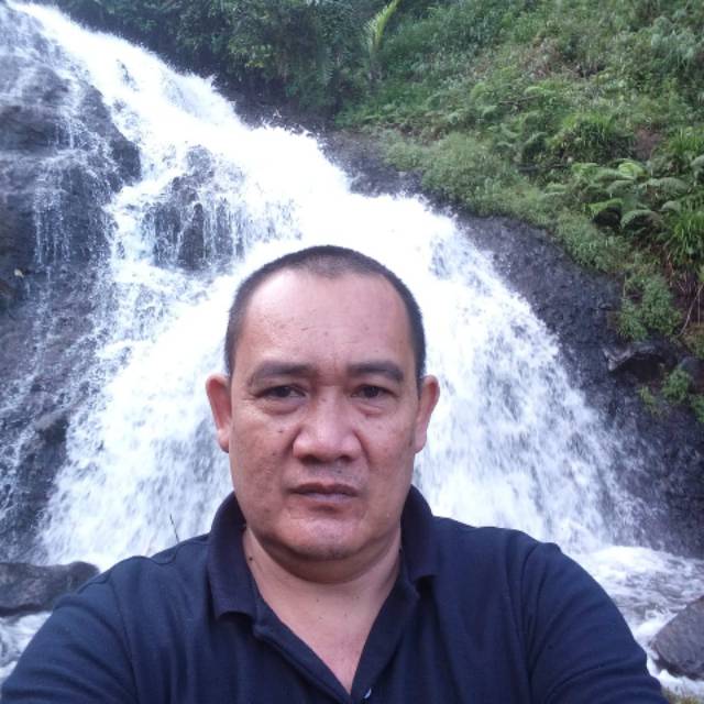 dan31312