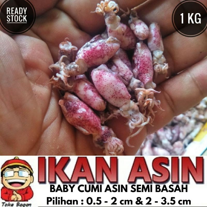 

BABY CUMI ASIN FROZEN / SEMI BASAH 1 duz 10 kg
