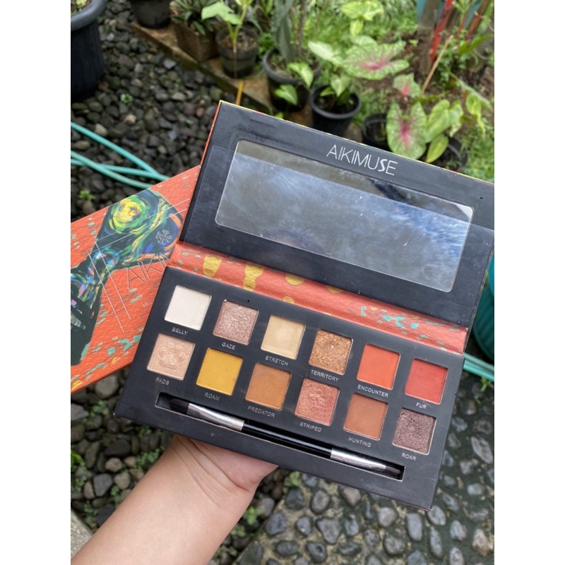 Aikimuse Eyeshadow Palette
