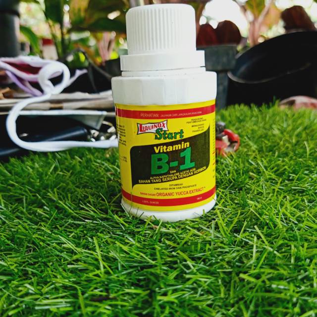 Obat Start Vitamin B-1