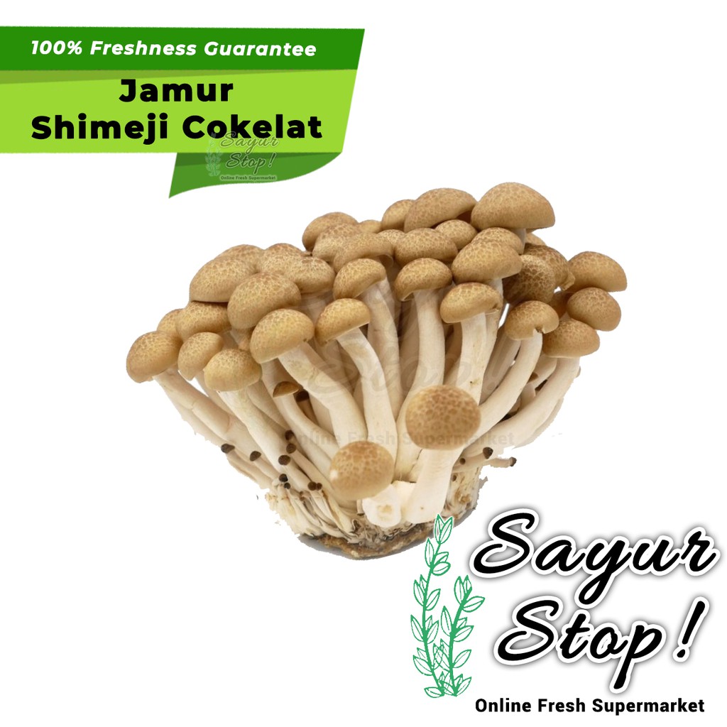 

Sayur Stop Jamur Shimeji Cokelat 1 pack