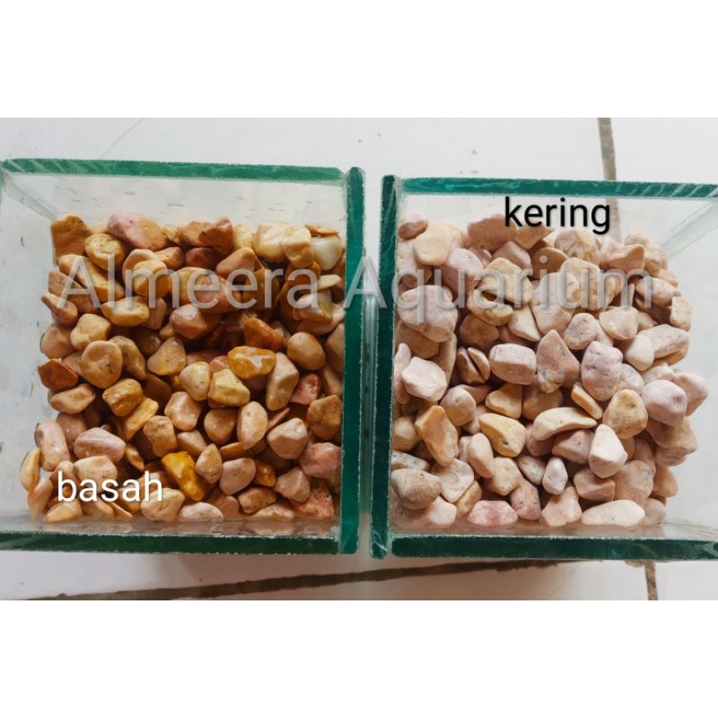 BATU HIAS AQUARIUM / BATU HIAS TANAMAN