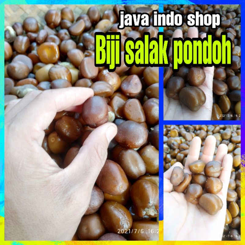 BIJI SALAK PONDOH MURAH / BENIH SALAK PONDOH