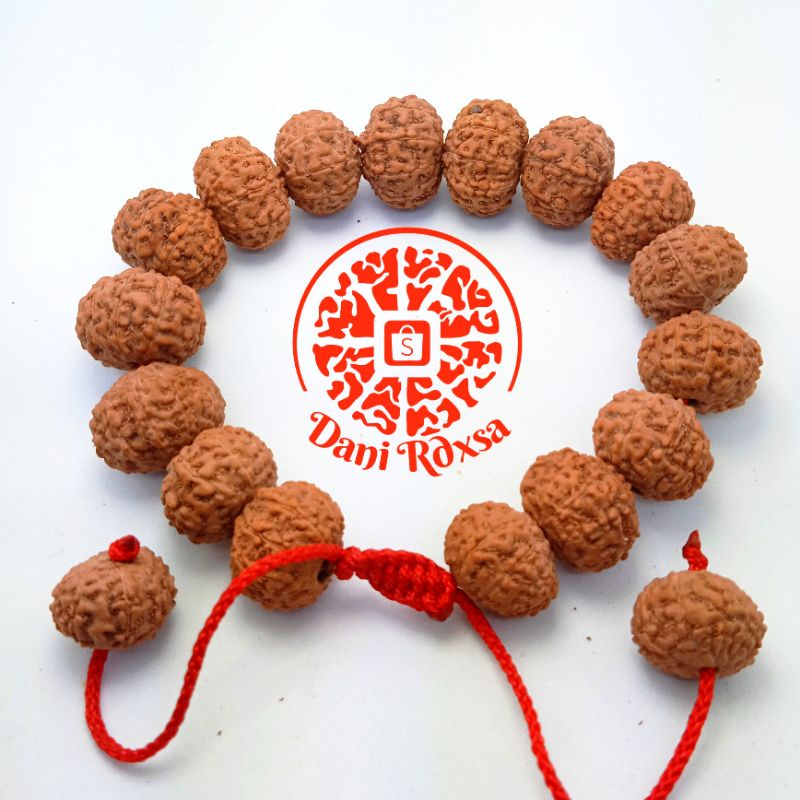 Gelang Rudraksha mukhi 10 Jenitri Genitri Japhamala