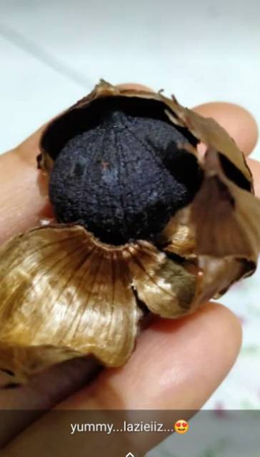 Bawang Lanang/Tunggal/Black Garlic Izaura