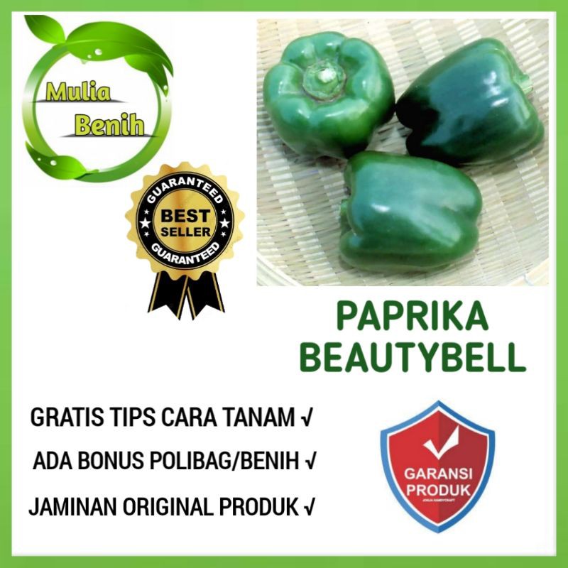 5 Biji - Benih Paprika Hijau BEAUTY BELL F1 - Bibit Tanaman Sayur Sayuran Cabe Hidroponik Viral COD