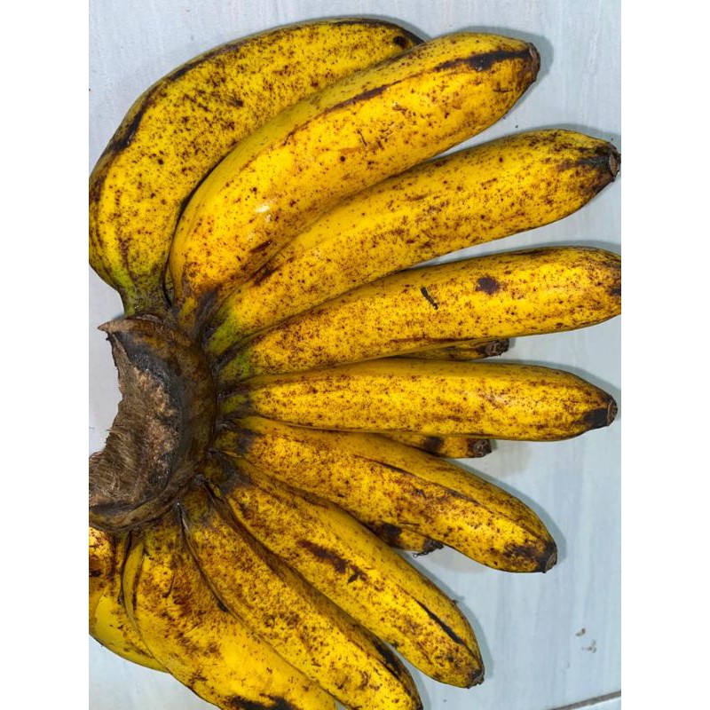 

Buah Pisang Barangan Medan Asli / 1 sisir.