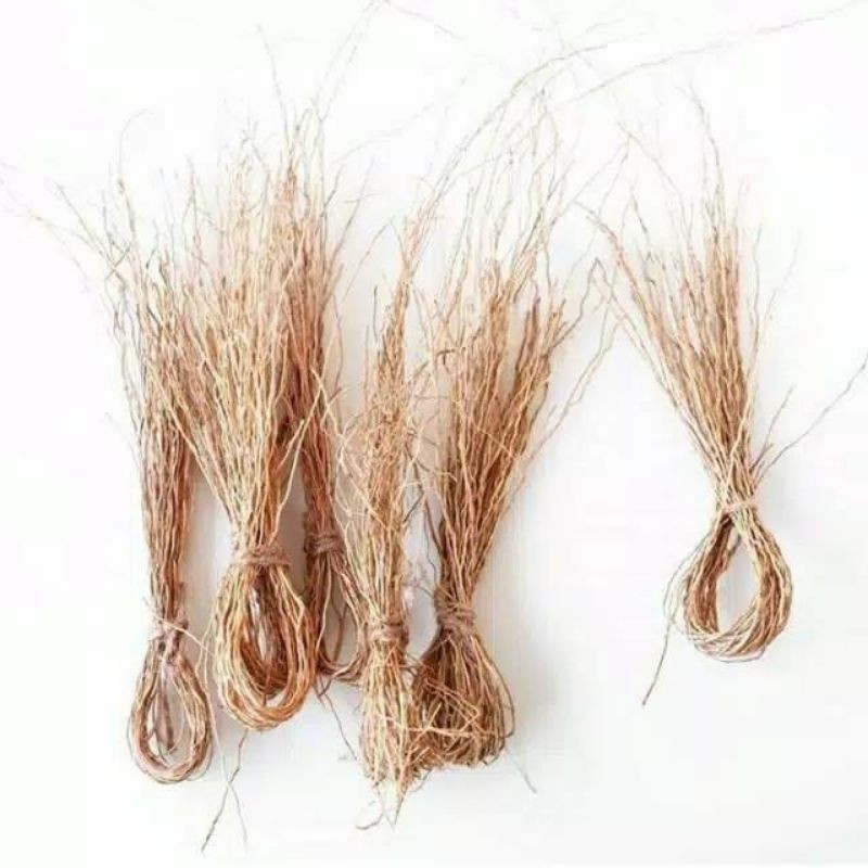 Akar wangi Properti Foto Akar Wangi Ranting Kering