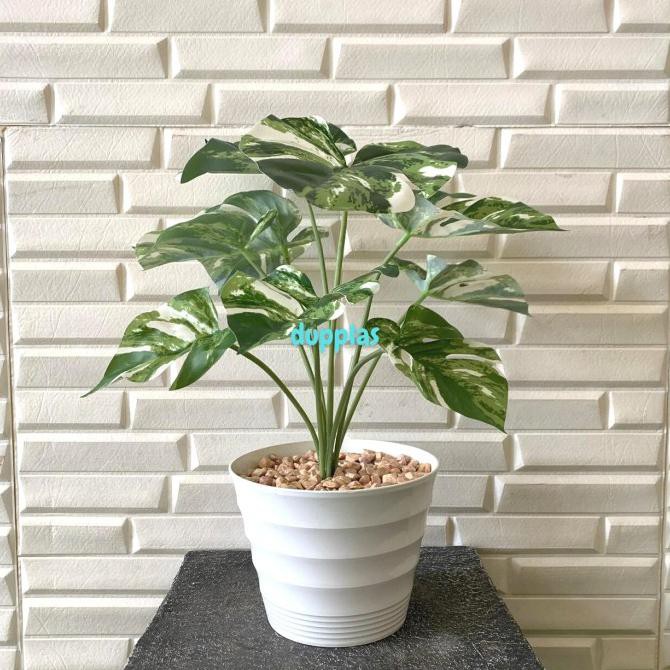 Pohon Daun Monstera Varigata Motif Pot Ulir Artificial Tanaman Plastik