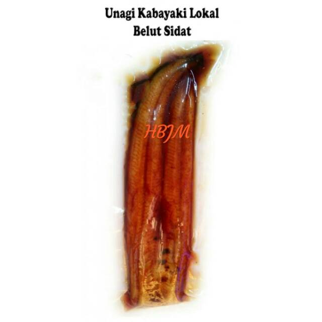 

Unagi Kabayaki Lokal size L 250 Gr (230-300 gr) terlaris