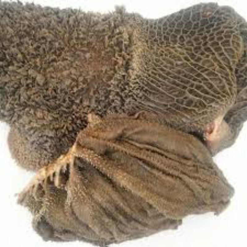 

Babat Sapi 500gr Bakul Sayur Murah Bandung