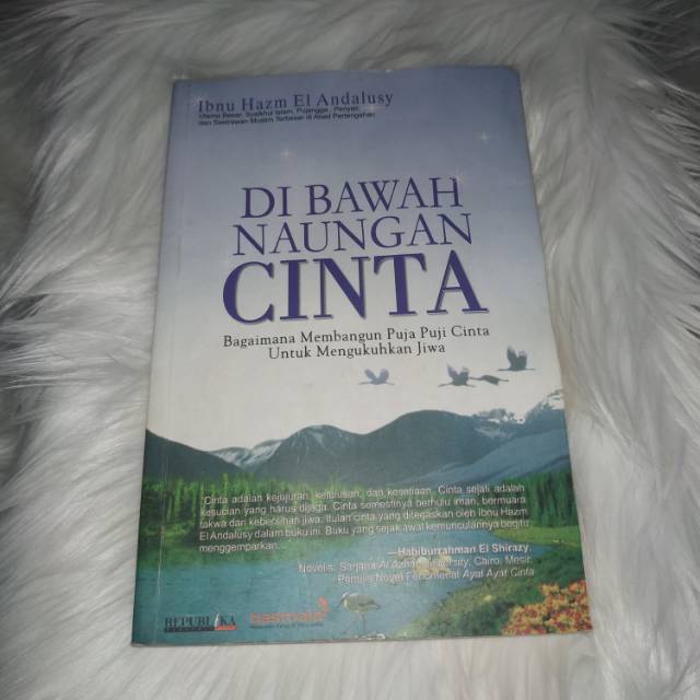 Di bawah Naungan Cinta