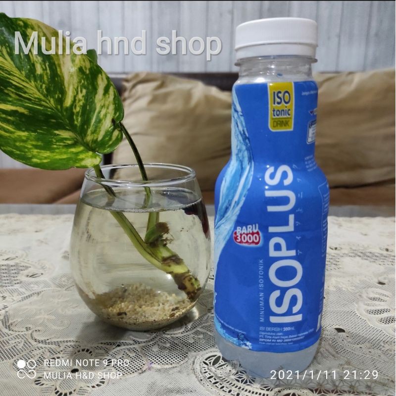 

ISOPLUS isotonik pet 350 ml