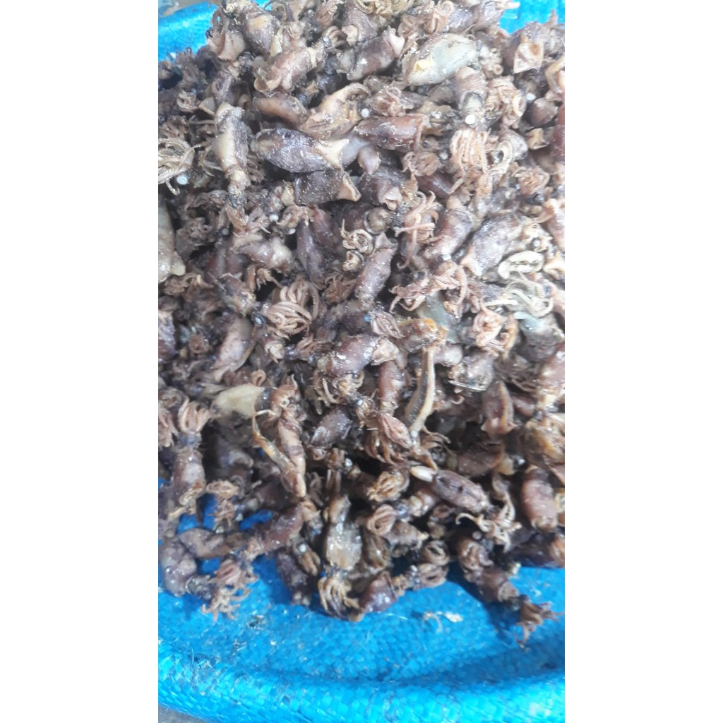 

Baby cumi telor 500 Gram