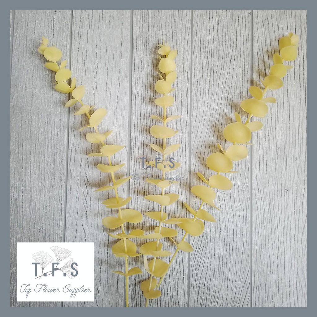 Artificial Flower Bunga Flocking Eucalyptus Stem Green Tanaman Palsu Bunga Plastik Decor Rumah-5