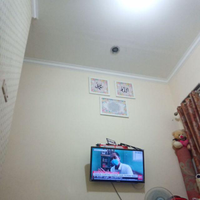 Bayfresh Aerosol Lemon 320 Ml