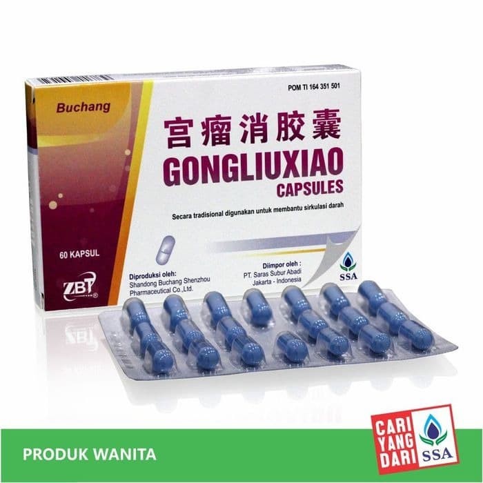 

GONGLIUXIAO