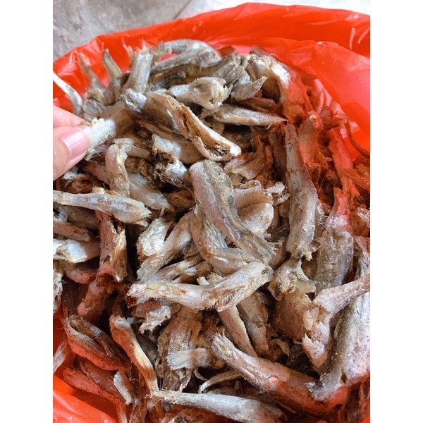 

teri sampah Teri daging