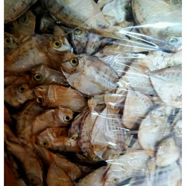 

Ikan pirik tawar