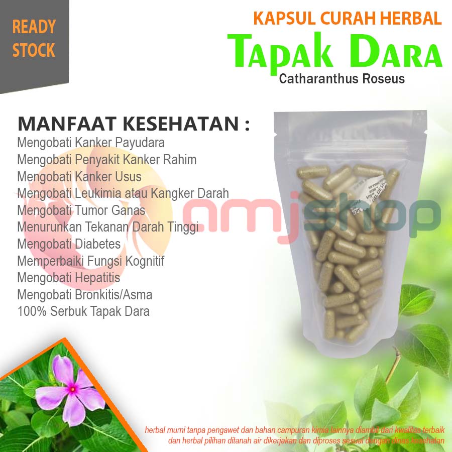 

Kapsul curah herbal tapak dara kapsul herbal kanker leukimia tumor diabetes