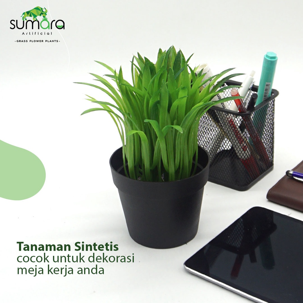 Rumput Raja Palsu/Plastik/Sintetis + Pot