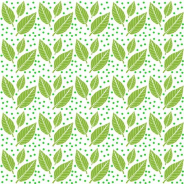 

Rol cat motif