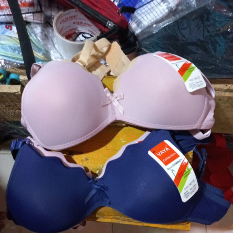 BH vaya / Aomigi Remaja Cup Kecil