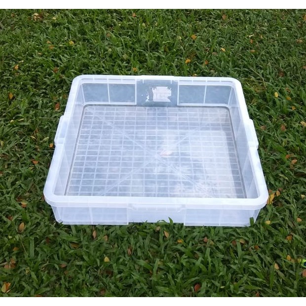 Kontainer Green Leaf 45L OJOL ONLY Bak Kura Darat Torto Sulcata Aldabra Radiata Greca Hermani