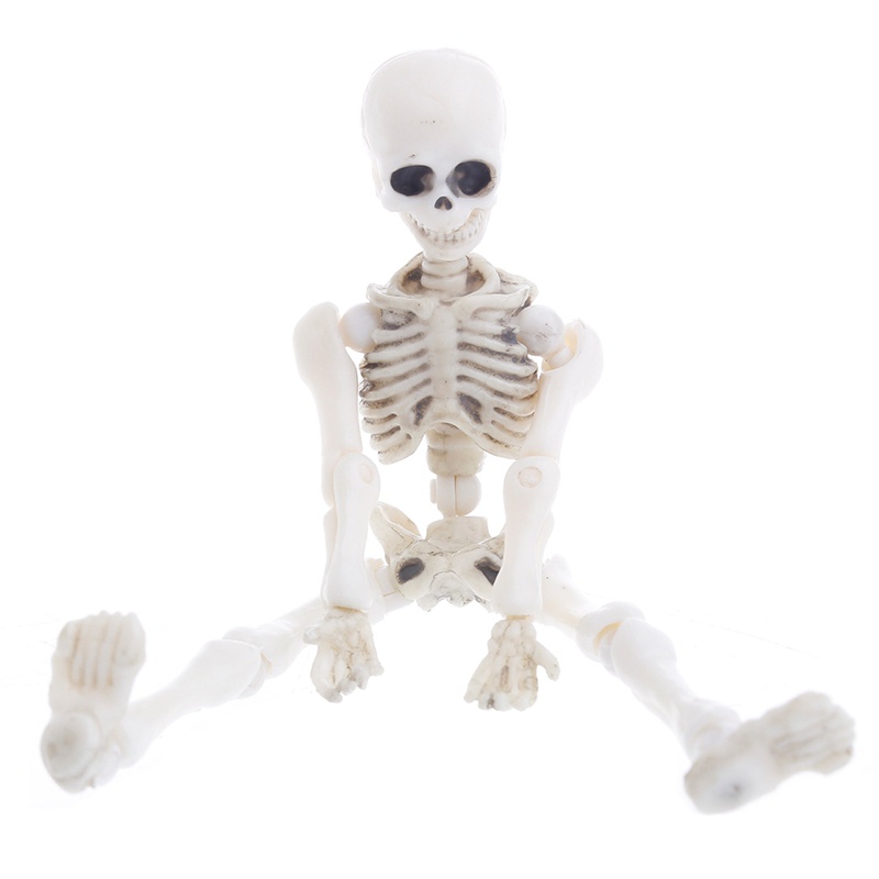 Mary Movable Mr. Bones Skeleton Model Manusia Tengkorak Full Body Mini Figure Mainan Halloween